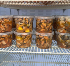 Рыбачка Соня